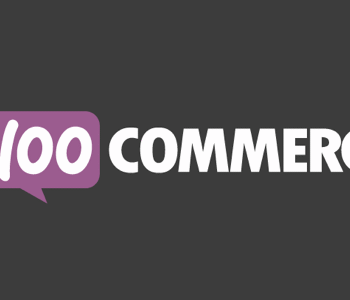 Advanced Product Quantity 1.3.1 WooCommerce