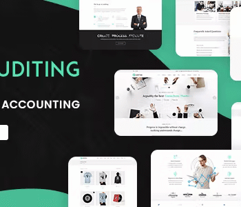 Auditing | Accounting Consultant, Finance WordPress Theme