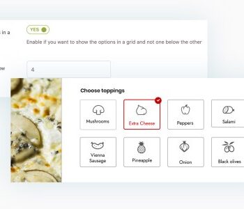 YITH WooCommerce Product Add-Ons  Extra Options